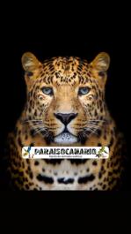 Tienda de animales exóticos Torre del Mar